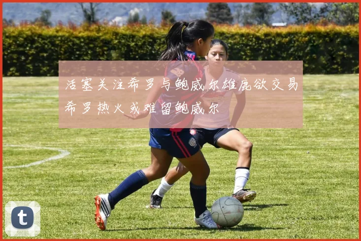 活塞关注希罗与鲍威尔雄鹿欲交易希罗热火或难留鲍威尔